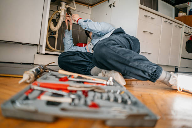 Best Sprinkler Systems  in Rogersville, TN