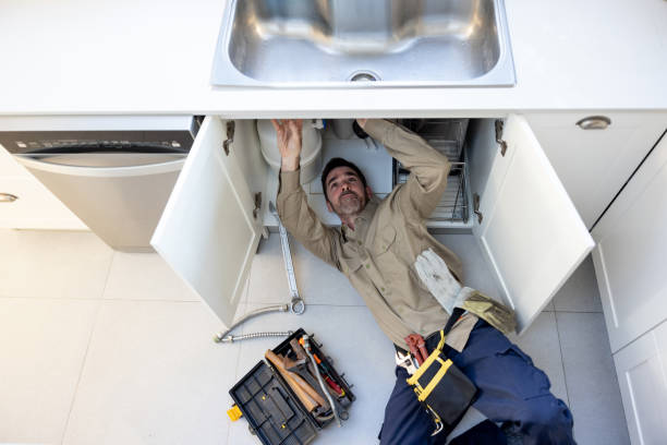 Best 24-Hour Plumber Near Me  in Rogersville, TN