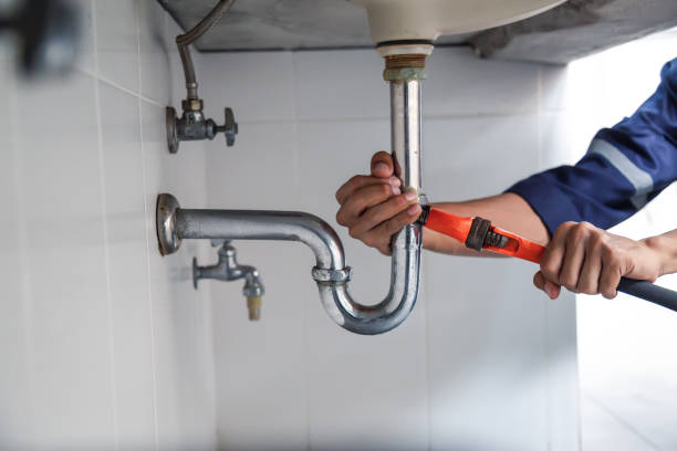 Best Sewer Line Repair  in Rogersville, TN
