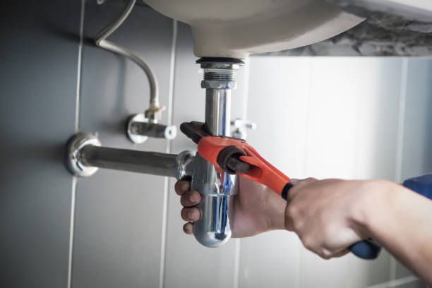 Best Septic Systems  in Rogersville, TN
