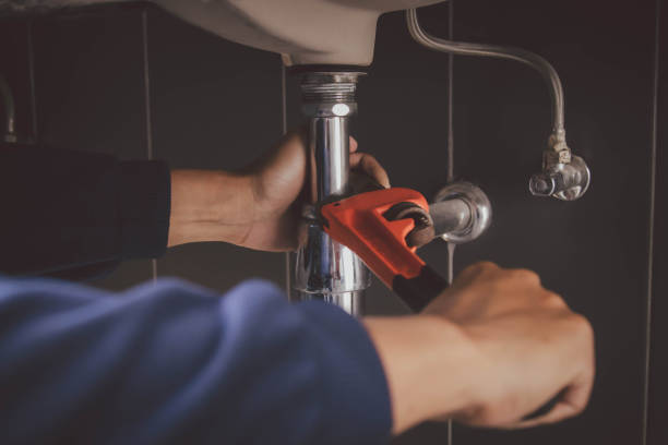 Best Affordable Plumbing Services  in Rogersville, TN