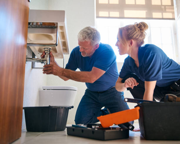Best Drain Cleaning Services  in Rogersville, TN